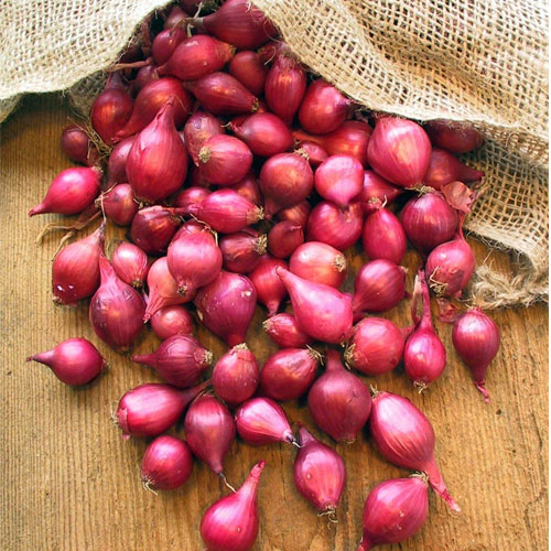 Small Onions
